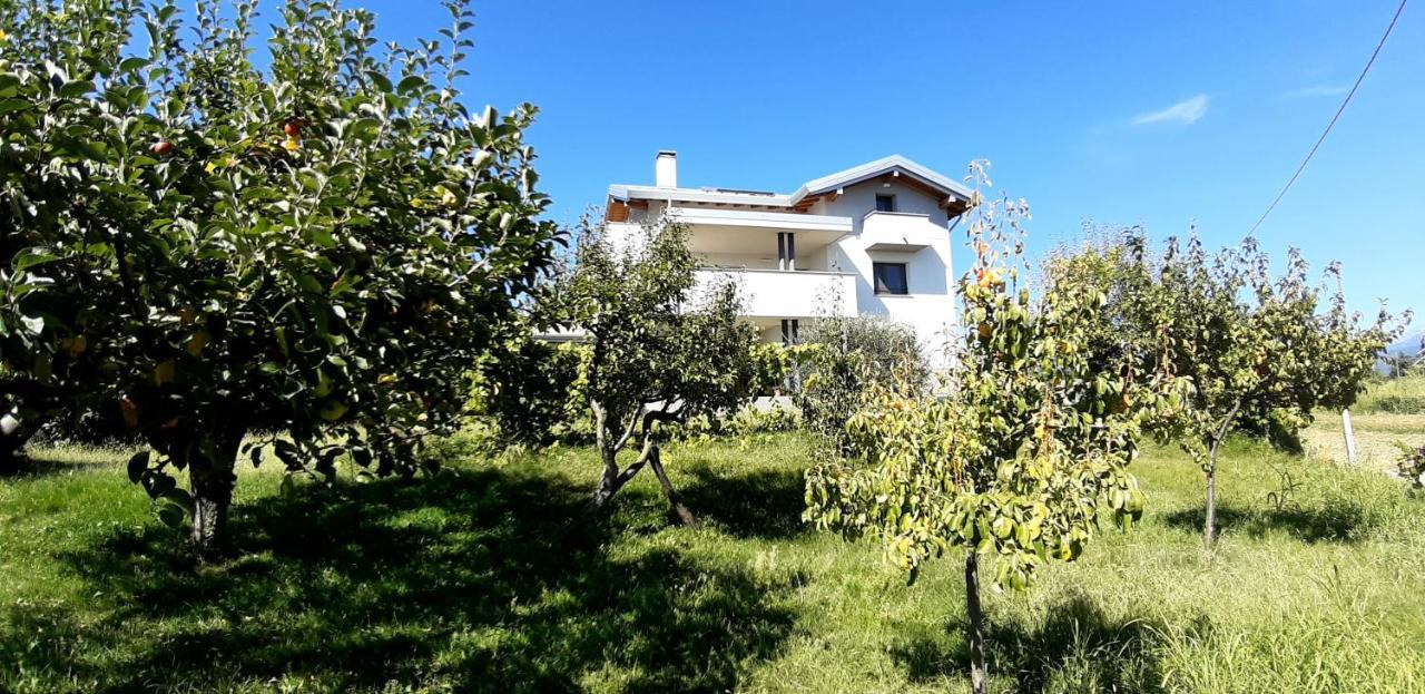 Al Settimo Miglio, Alloggio Agrituristico Villa Treppo Grande Exterior foto